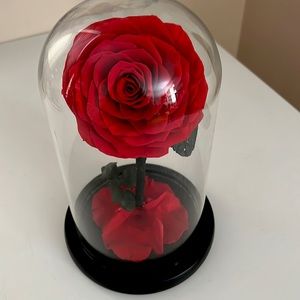 Timeless Rose Decor